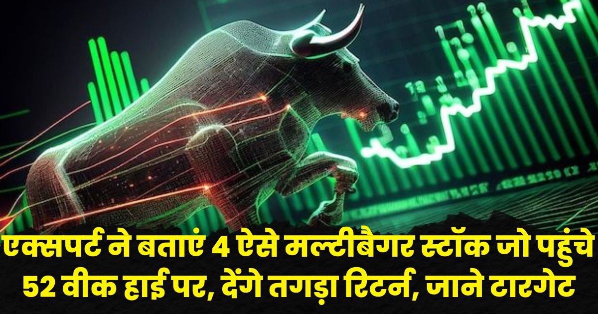 Long Term Stock to Buy